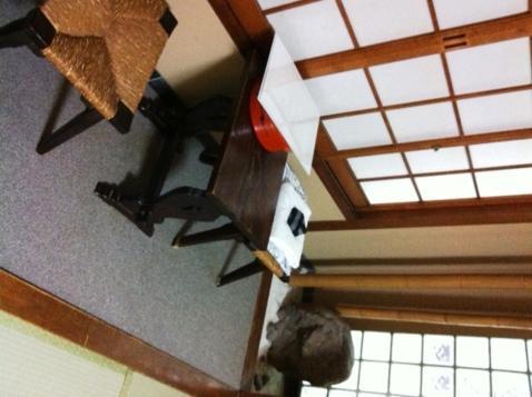 كيوتو Ryokan Kyoka المظهر الخارجي الصورة